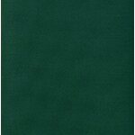 Nylon Repair Patch, Dark Green, 2 pieces of 14cm x 6.5cm, Prym 929506 Dark Green