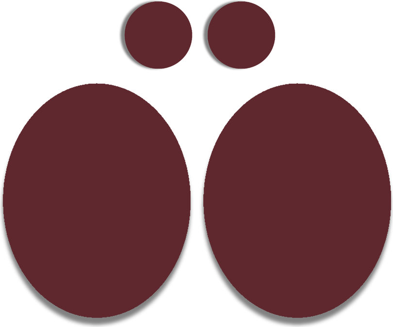 Merino Repair Patches in Colours, Red Red