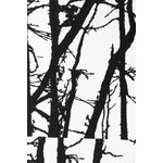 Tree Camo WPB 120 g/m², White/black (9496)