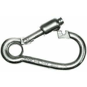 Stainless Steel Carabiner, Locking with Ring