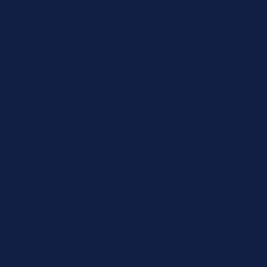 Coats Nylbond #60, Strong Bonded Nylon Thread In 56 Colors, 9507 - Very Dark Blue