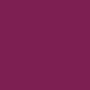 Coats Nylbond #60, Strong Bonded Nylon Thread In 56 Colors, 9570 - Eggplant