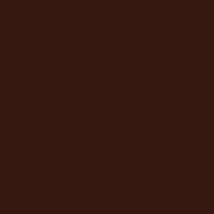Coats Nylbond #60, Strong Bonded Nylon Thread In 56 Colors, 9052 - Dark Brown