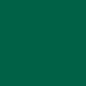 Coats Nylbond #60, Strong Bonded Nylon Thread In 56 Colors, 8620 - Bright green