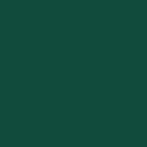 Coats Nylbond #60, Strong Bonded Nylon Thread In 56 Colors, 8059 - Dark Green