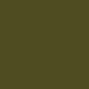 Coats Nylbond #60, Strong Bonded Nylon Thread In 56 Colors, 8055 - Bright Olive Green