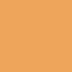 Coats Nylbond #60, Strong Bonded Nylon Thread In 56 Colors, 6845 - Yellowish Orange