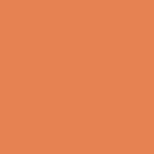 Coats Nylbond #60, Strong Bonded Nylon Thread In 56 Colors, 6685 - Terracotta