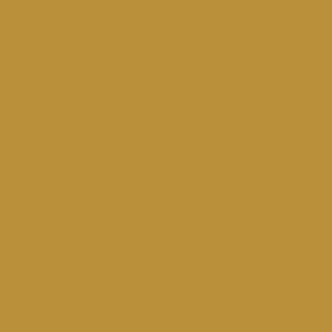 Coats Nylbond #60, Strong Bonded Nylon Thread In 56 Colors, 5690 - Orange Brown