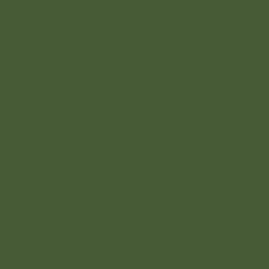 Coats Nylbond #60, Strong Bonded Nylon Thread In 56 Colors, 5531 - Olive Green
