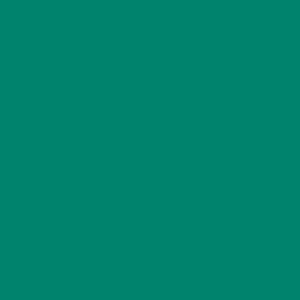 Coats Nylbond #60, Strong Bonded Nylon Thread In 56 Colors, 4587 - Light Green