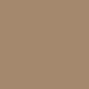 Coats Nylbond #60, Strong Bonded Nylon Thread In 56 Colors, 3579 - Light brown