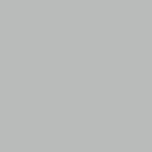 Coats Nylbond #60, Strong Bonded Nylon Thread In 56 Colors, 3004 - Light Grey