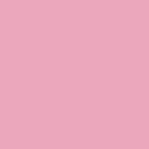 Coats Nylbond #60, Strong Bonded Nylon Thread In 56 Colors, 2637 - Pink