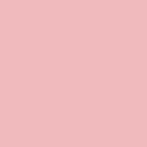 Coats Nylbond #60, Strong Bonded Nylon Thread In 56 Colors, 2075 - Light Pink