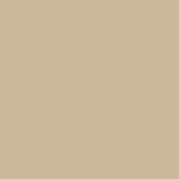 Coats Nylbond #60, Strong Bonded Nylon Thread In 56 Colors, 4578 - Light Brown