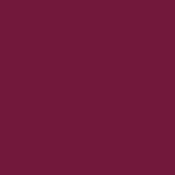 Coats Nylbond #60, Strong Bonded Nylon Thread In 56 Colors, 9571 - Dark Eggplant